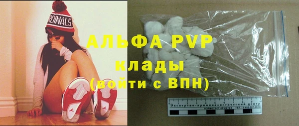 прущие грибы Арсеньев