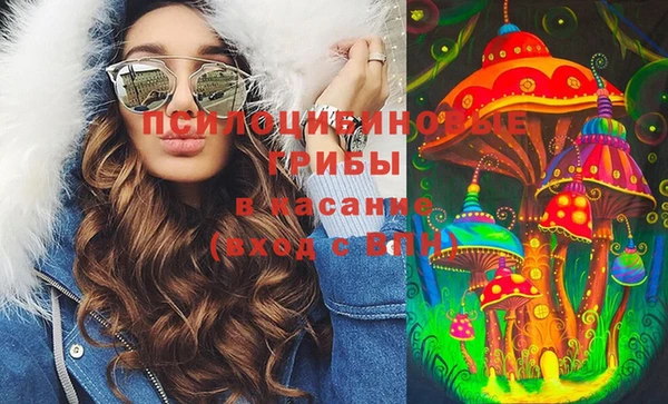 прущие грибы Арсеньев