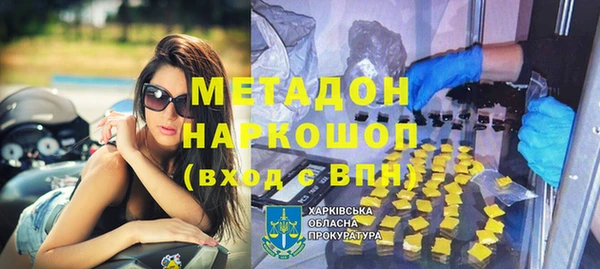 прущие грибы Арсеньев