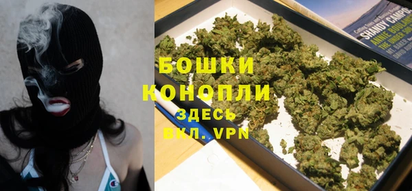 прущие грибы Арсеньев
