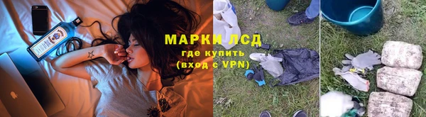 прущие грибы Арсеньев